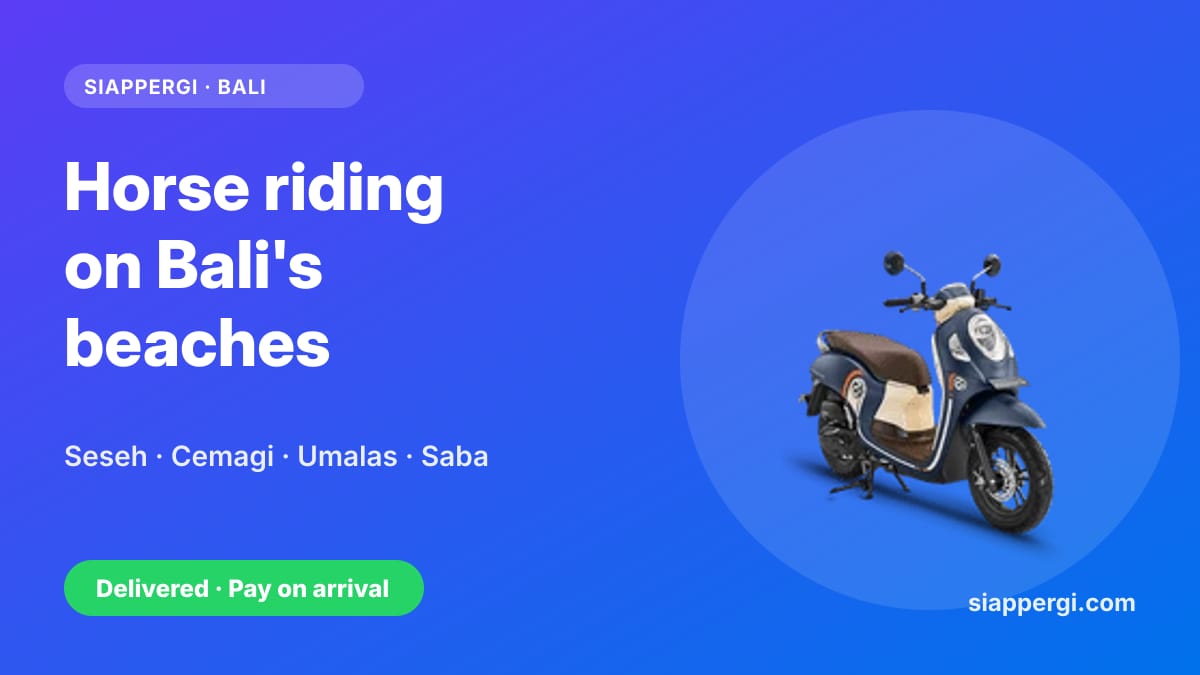 Horse Riding on the Beach in Bali: Where to Go and How to Get There by Scooter