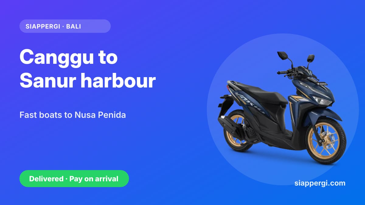 Canggu to Sanur Harbour by Scooter: For Fast Boats to Nusa Penida & Lembongan