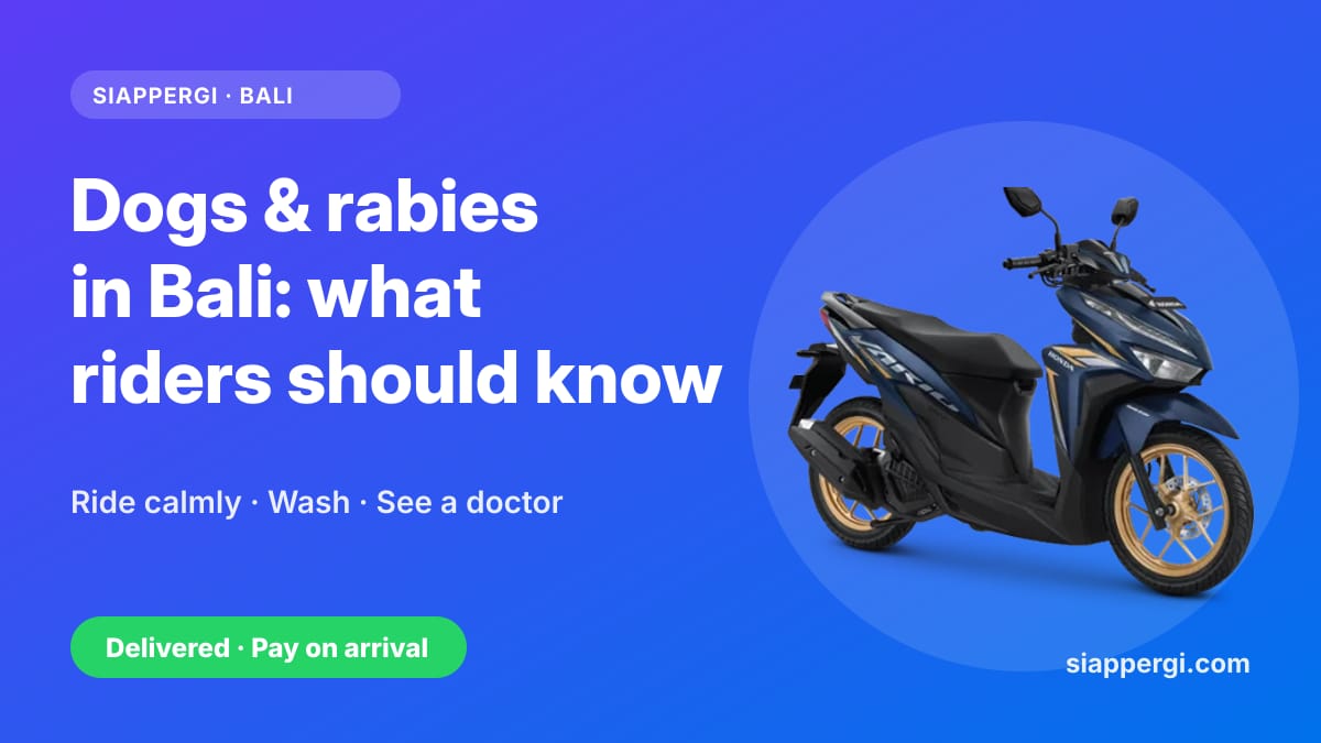 Dogs & Rabies in Bali: What Scooter Riders Should Know (and Do After a Bite)