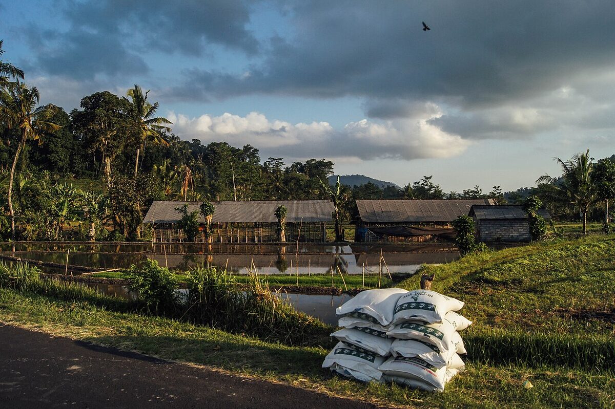 Pemandangan sawah dan perbukitan Sidemen, Karangasem