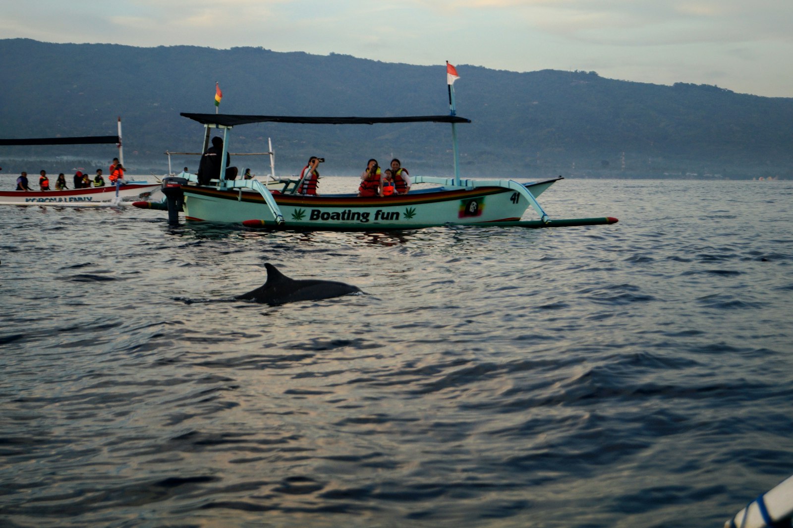 Dolphin-watching boats in Lovina