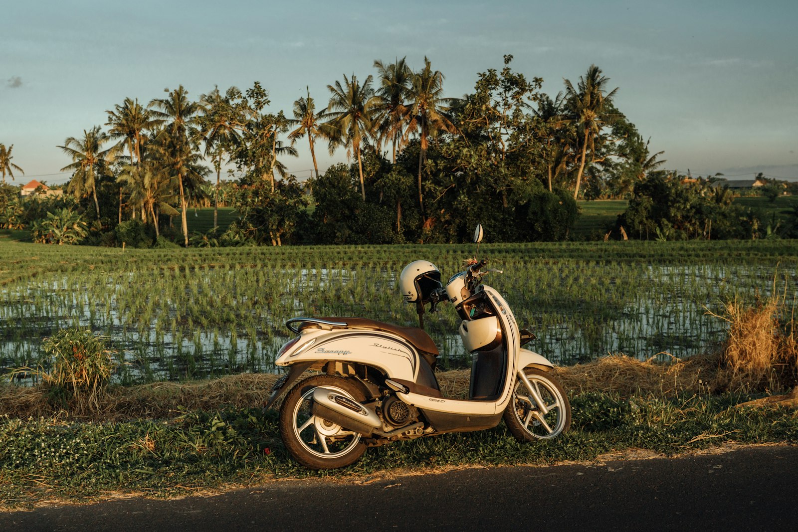 Scooter parked by Bali rice fields