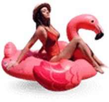 Medium Flamingo rental in Bali