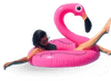 Medium Ring Flamingo rental in Bali
