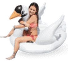 Medium White Swan rental in Bali