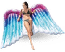 Mega Angel Wings rental in Bali