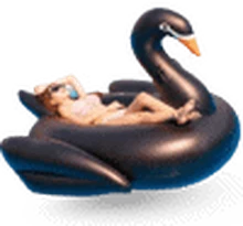 Mega Black Swan rental in Bali