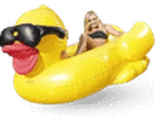 Mega Cool Duck rental in Bali