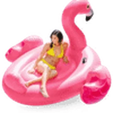 Mega Flamingo rental in Bali