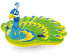 Mega Peacock rental in Bali