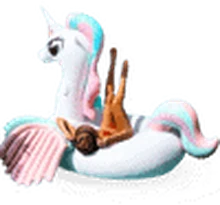 Mega Pony Pastel rental in Bali