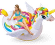 Mega Unicorn rental in Bali