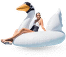 Mega White Swan rental in Bali